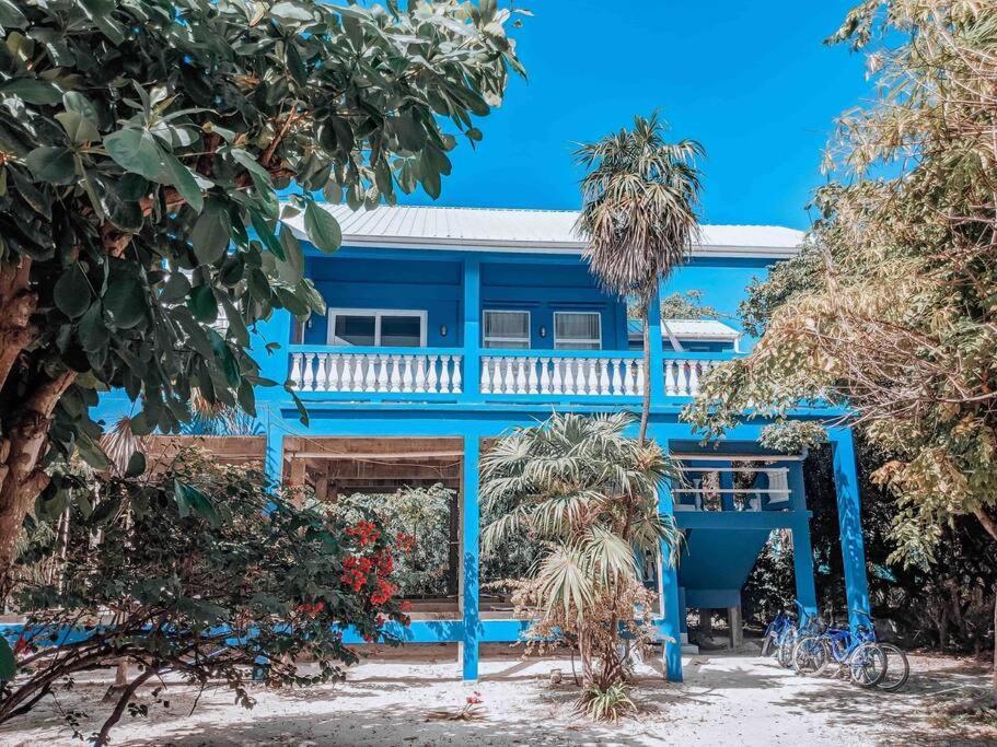 Vacation Home Blue Lotus Caye Caulker Exteriör bild