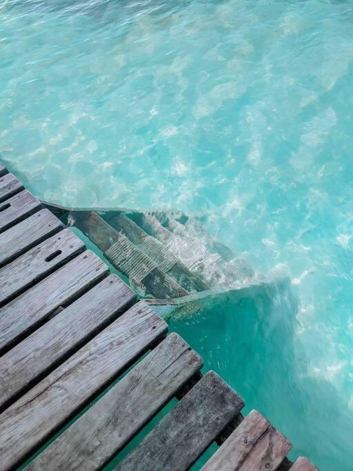 Vacation Home Blue Lotus Caye Caulker Exteriör bild
