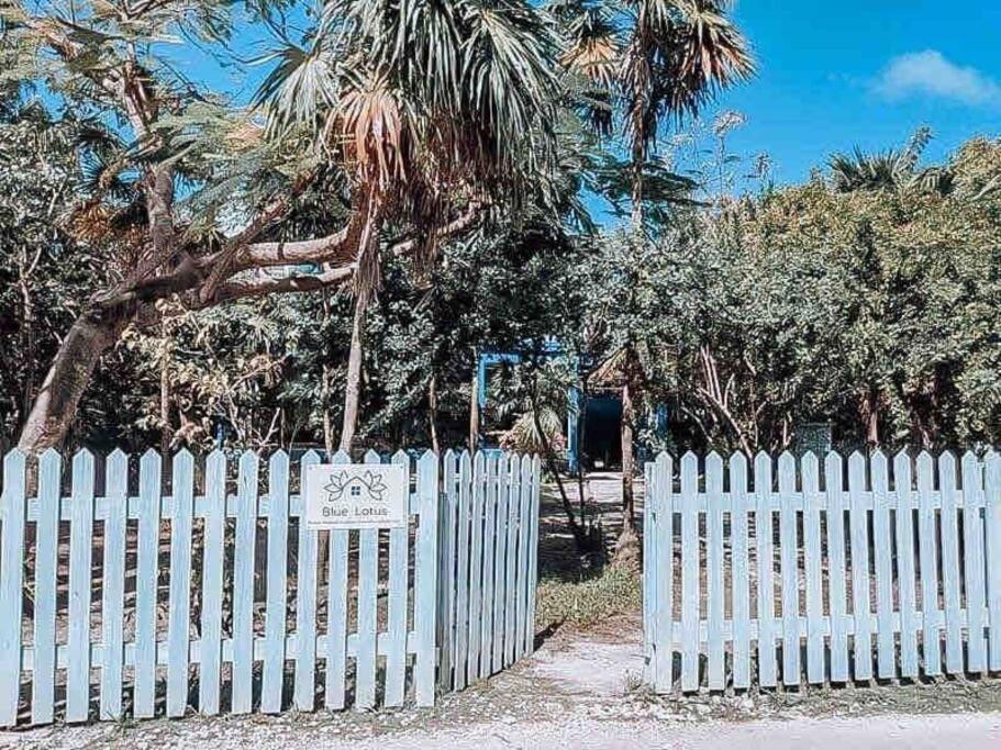 Vacation Home Blue Lotus Caye Caulker Exteriör bild