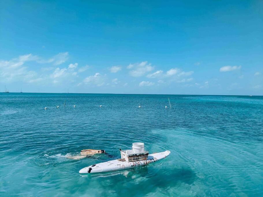 Vacation Home Blue Lotus Caye Caulker Exteriör bild